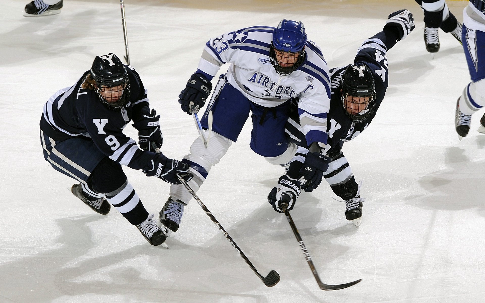 职业球员是否获得个人社交媒体运营指导支持，职业球员和业余球员